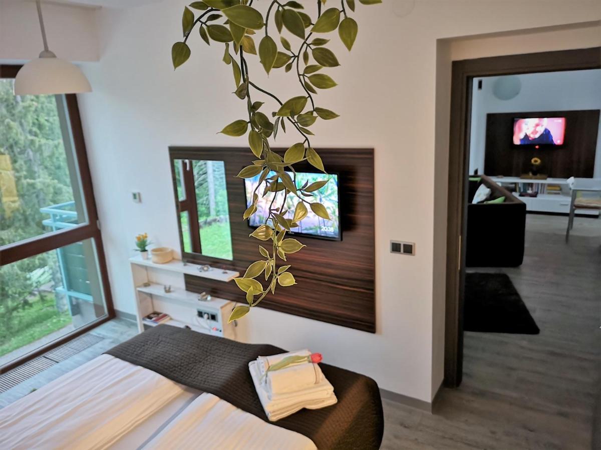 The Evergreen Nest - Silver Mountain Poiana Brasov Exterior foto