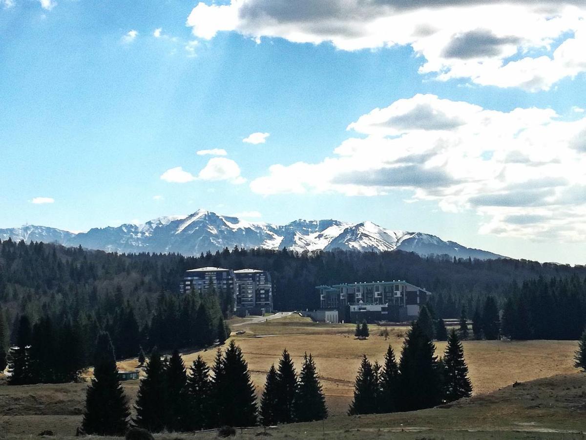 The Evergreen Nest - Silver Mountain Poiana Brasov Exterior foto